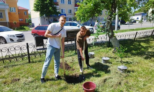 Международная акция «Сад памяти»