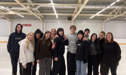 Посещение катка