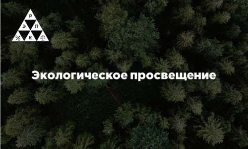 Экологическое просвещение
